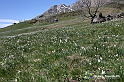 VBS_8908