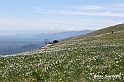 VBS_8911