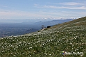 VBS_8913