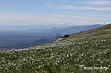 VBS_8914