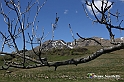 VBS_8917