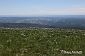 VBS_8921