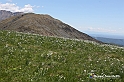 VBS_8925