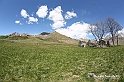 VBS_8931