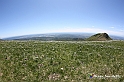 VBS_8937