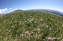 VBS_8941