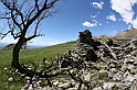 VBS_8947
