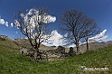VBS_8955