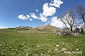 VBS_8960