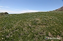 VBS_8966