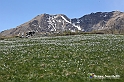 VBS_8977