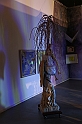 ForgiveMeDistantWarsForBringingFlowersHome_031