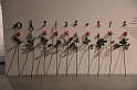 ForgiveMeDistantWarsForBringingFlowersHome_107