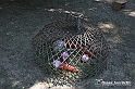 VBS_9334