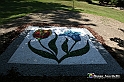 VBS_9338