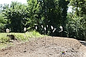 VBS_9476
