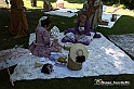 VBS_9570