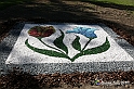 VBS_9726
