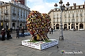 VBS_9877