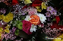 VBS_9891