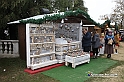 VBS_5581