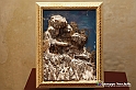 VBS_5851