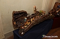 VBS_5861