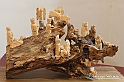 VBS_5881