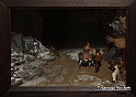 VBS_5931