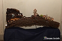 VBS_5939