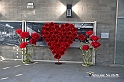 VBS_4280