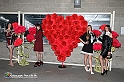 VBS_4336
