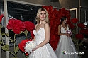 VBS_4734