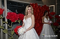 VBS_4735