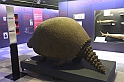 Estinzioni_38