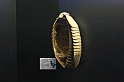 Estinzioni_50