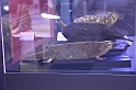 Estinzioni_76