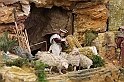 Presepi_064