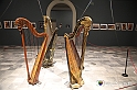 VBS_2737