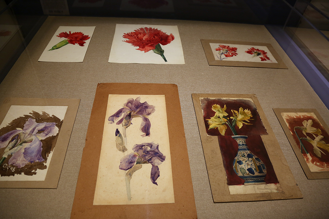 VBS_5622.JPG - Giulio Casanova  Studi di fiori e frutti  1890-1905 ca. acquerello su carta Accademia Albertina di Belle Arti, Torino