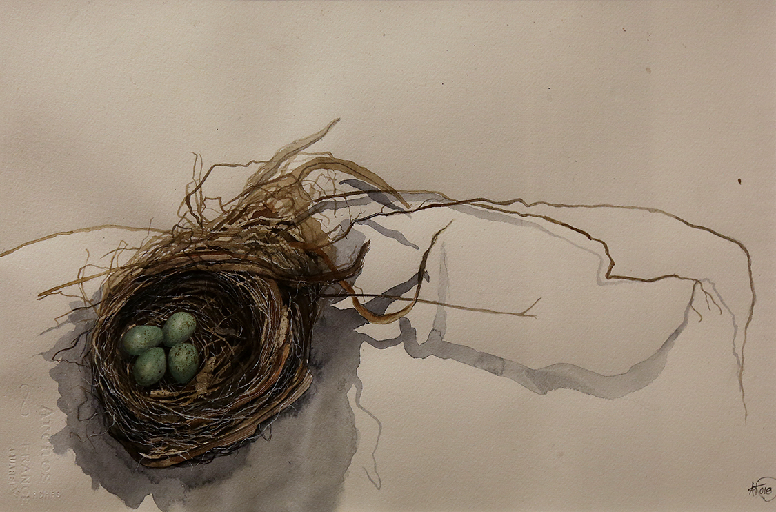 VBS_5636.JPG - Anna Regge  Nido di merlo  2018 acquarello su carta Arches collezione privata 