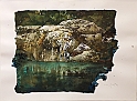 VBS_5537