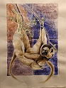 VBS_5612
