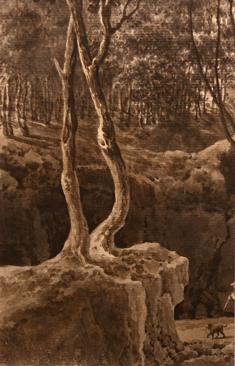 VBS_5920.jpg - Giuseppe Pietro Bagetti Studio di Foresta 1816-1830 