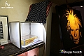 VBS_6168