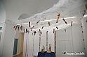 VBS_9892