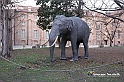 VBS_2474