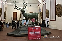 VBS_2477