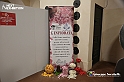 VBS_2619