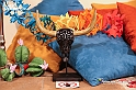 VBS_2623